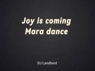 DJ Landlord – Joy Is Coming Mara Version song download DJ Landlord – Joy Is Coming Mara Version