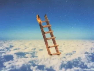 Travis Scott – Highest In The Room