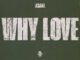 Asake - WHY LOVE
