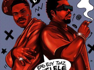 Bad Boy Timz – Skelele ft. Olamide