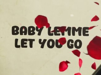 NINIOLA X PRAIZ - ELECTRICAL