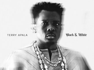 Terry Apala - Na You ft. Wurld & Wizard Chan